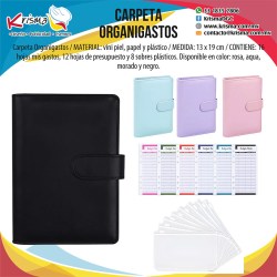 Carpeta organigastos